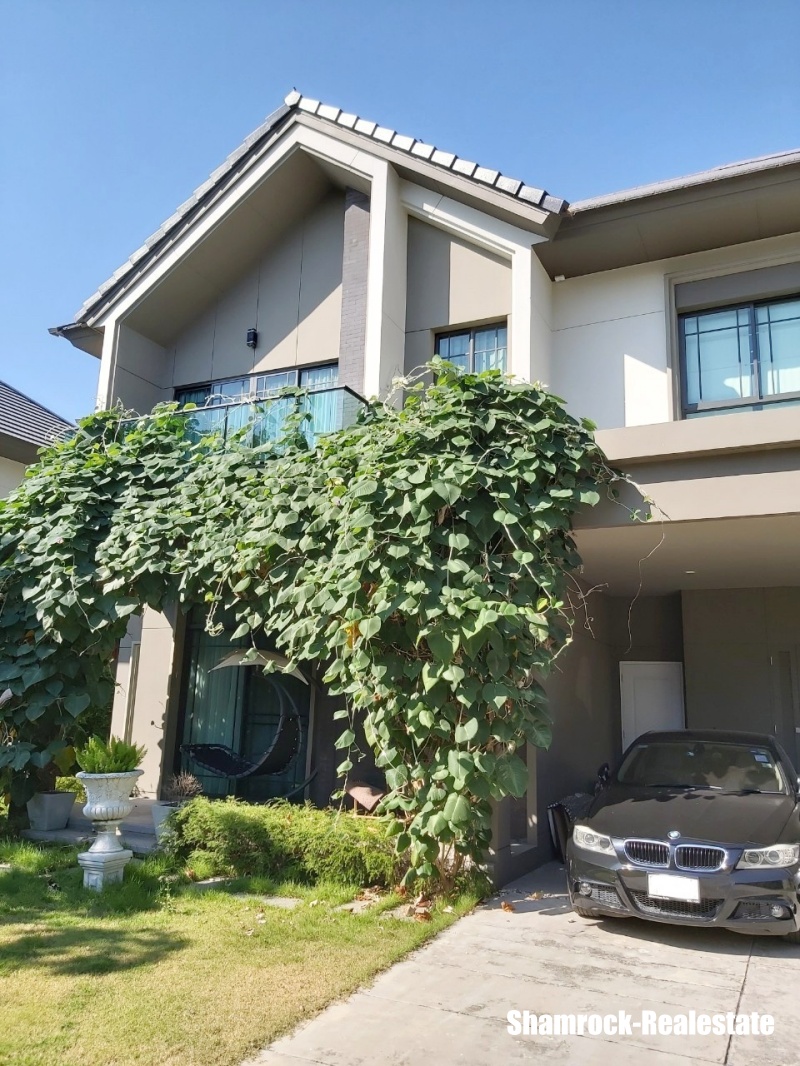 Bangkok Boulevard Rangsit Shamrock Real Estate